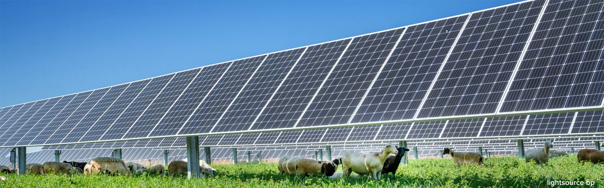 Penn State Solar Farm