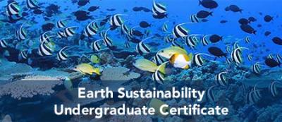 Earth Sustainability - Undergraduate Certificate