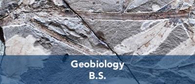 Geobiology - B.S.