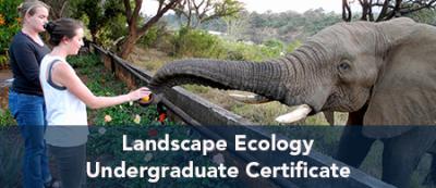 Landscape Ecology Undergraduate Certificate