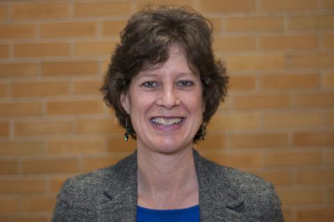 Susan L. Brantley, distinguished professor of geosciences and director of the Earth Environmental Systems Institute 