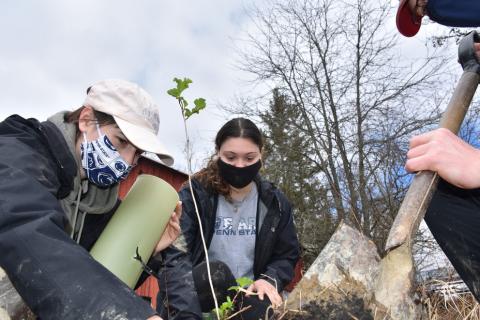Amanda Byrd (left), Kelsie Richner (center) and Chris Long (right), plant a sapling