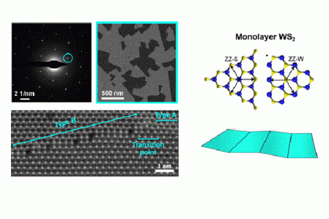 hree images of tungsten disulfide (WS2) monolayer on the left and the crystal structure model of a WS2 monolayer on the right