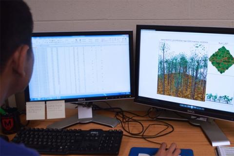 Geography graduate student Anthony Zhao uses the plot data to create forest models.