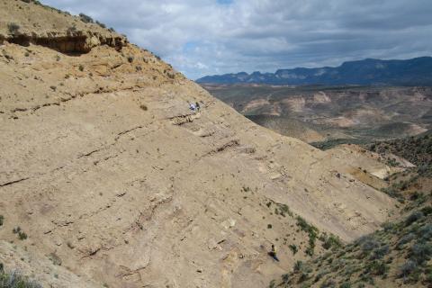 Researchers collect fossils cliffside in the Lefipan formation in southern Argentina.