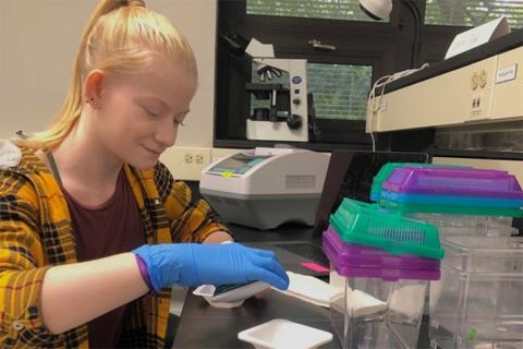 Current WISER student Elyse Johnson conducts research in the Shea Laboratory. 