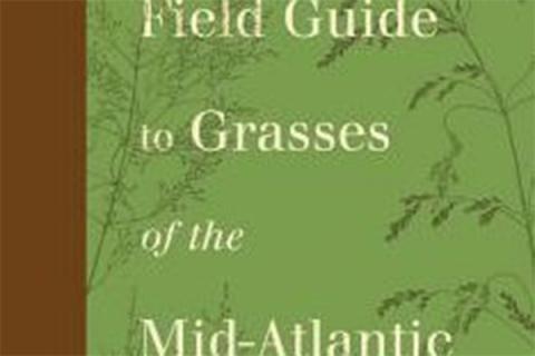 Field Guide to Grasses of the Mid-Atlantic