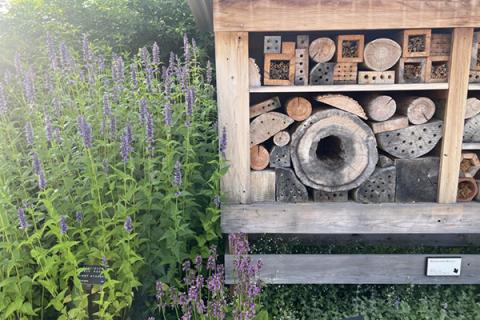 The addition of solitary bee hotels can add nesting sites for wild bees