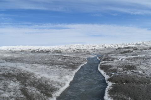 Dust and algae darken the Greenland ice sheet during the summer months