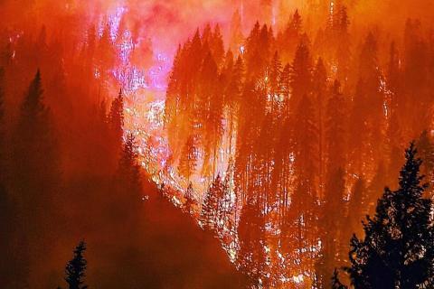 The River Complex fires burn in Klamath National Forest