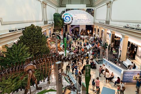 The David H. Koch Hall of Fossils – Deep Time at the Smithsonian National Museum of Natural History explores Earth's past