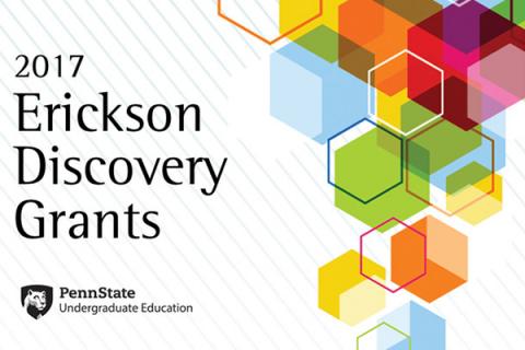 Erickson Discovery Grant for summer 2017