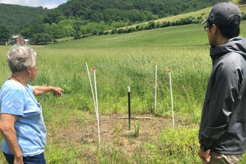 Tao Wen examines a dead vegetation zone on a farm in the Gregs Run watershed, Lycoming County.