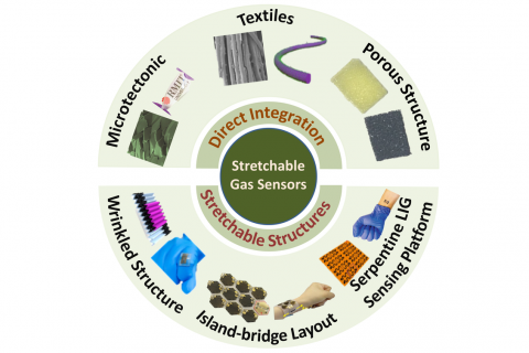 A Penn State research team is exploring materials to help in the advancement of stretchable, wearable gas sensors.