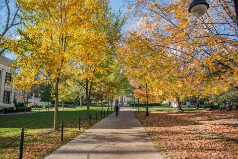 Penn State University Park campus in fall 