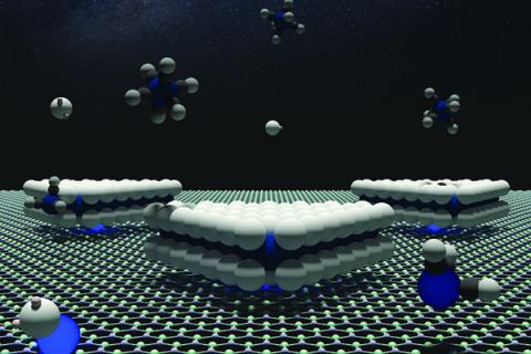 A boron nitride surface with tungsten atoms anchors triangular domains illustrating defect control of the orientation