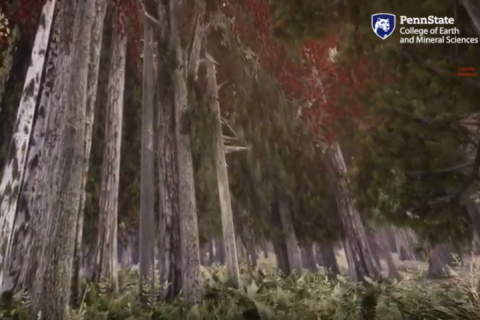 A Wisconsin type forest created in virtual reality to illustrate the effects of climate change scenarios on the trees and forest