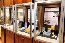 A new museum series will highlight sustainability efforts taking place in the college