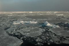 Small remnants of thicker, multiyear ice float with thinner, seasonal ice in the Beaufort Sea