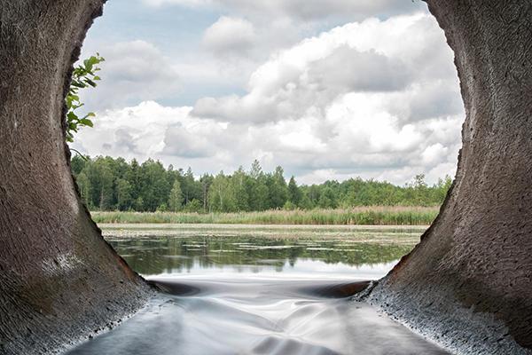 Water from a forest lake flows into a concrete pipe