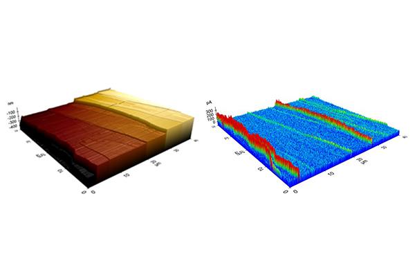 Topographical view of the surface of the perovskite layer and electrical current image of the same layer.