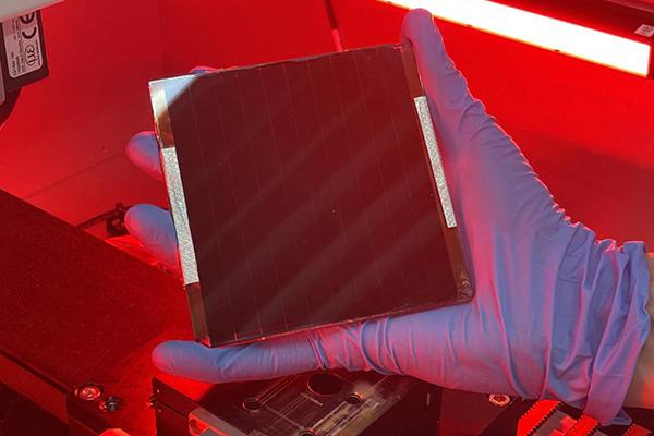 A Penn State researcher holds a bio-inspired solar that boosts stability without sacrificing efficiency