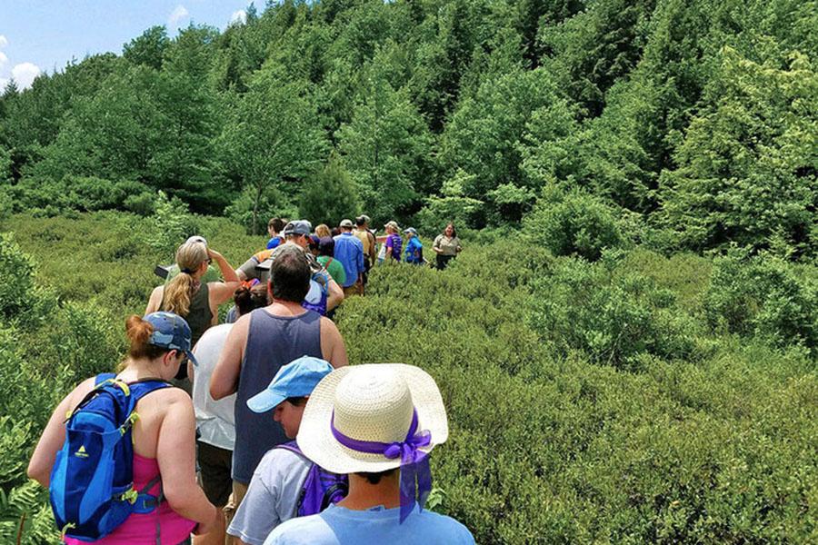 A group of Centred Outdoors hikers explores a trail in Black Moshannon State Park.