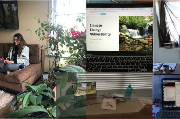 Penn State geography undergraduate student Talia Potochny is pictured in this collage showing various students’ home workspaces 