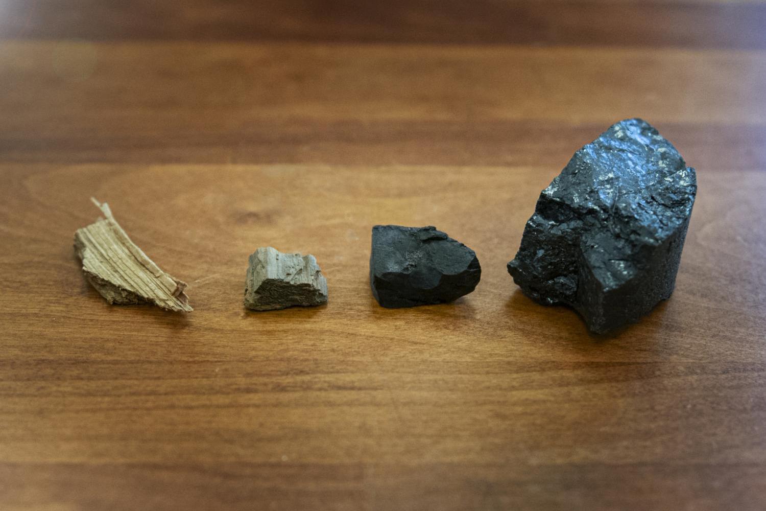 From the left are wood, lignite, subbituminous and bituminous coal