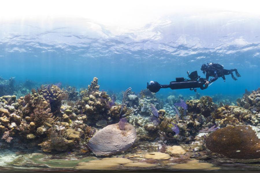 Filming Glovers Reef for the documentary "Chasing Coral."