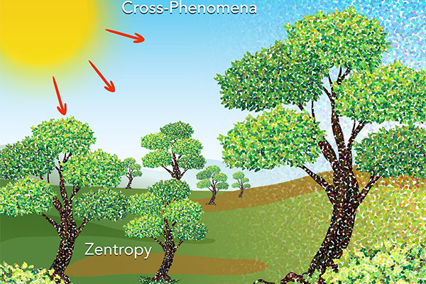 Heat from the Sun results in cross-phenomena such as evaporation of water and photosynthesis for growth of trees and crops