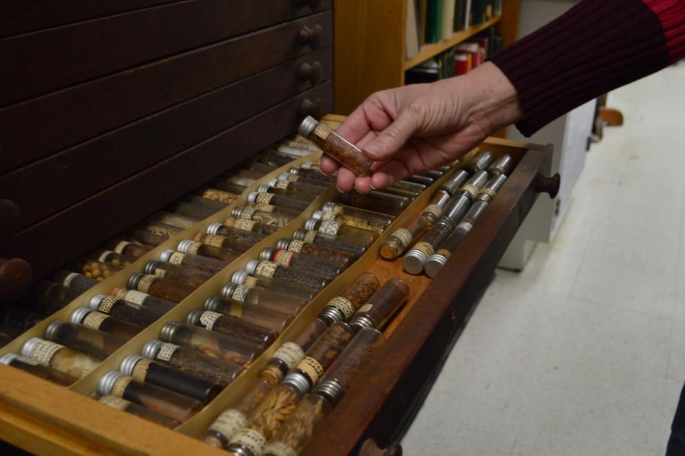 Seed specimens are stored in a wooden seed-storage cabinet with shallow drawers to accommodate the tiny glass vials.