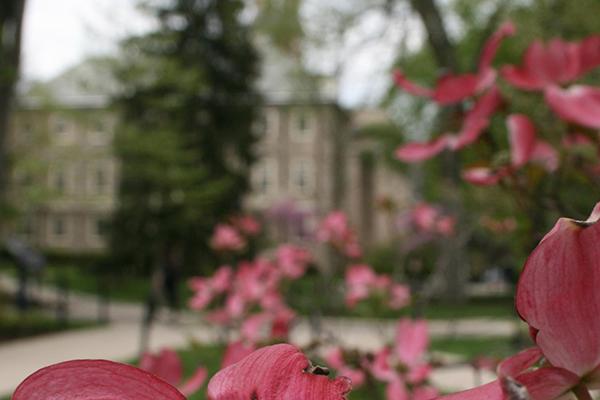 Spring is a beautiful time of year on the University Park campus of Penn State
