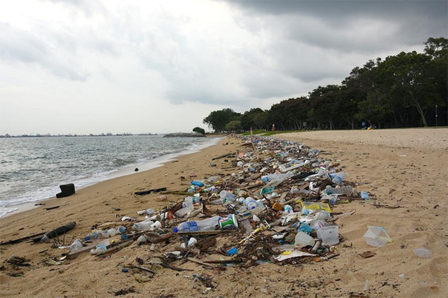 a large majority of the plastic that is not recycled enters the environment