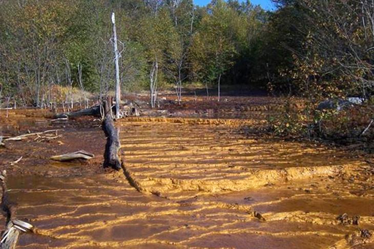  Kill zones such as the one at the Upper Red Eyes acid mine drainage spring in Somerset County, Pa., decimate plant lif