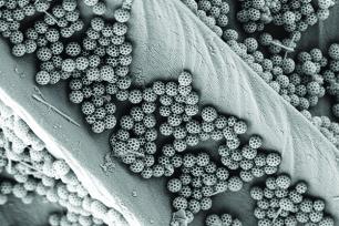 The 17th annual Materials Visualization Competition "Best of Show" award went to “Nano soccer balls from nature” by Jinsol Choi, postdoctoral scholar in mechanical engineering