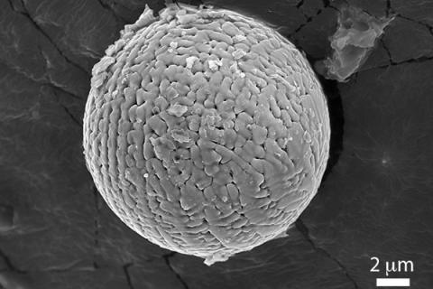Iron micrometeorites can provide new clues about the composition of the Earth's upper atmosphere 2.7 billion years ago