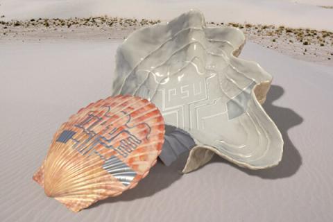 researchers demonstrated a new printing method using pulsed light to transfer an electronic circuit to a seashell