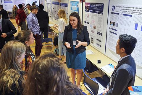 Undergraduate Research Exhibition