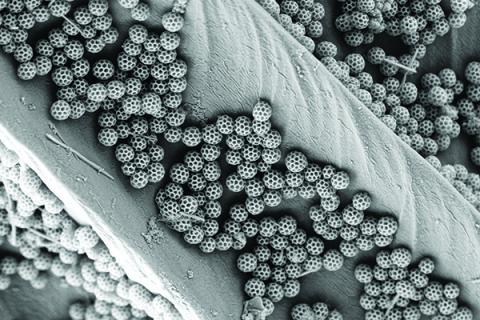 The 17th annual Materials Visualization Competition "Best of Show" award went to “Nano soccer balls from nature” by Jinsol Choi, postdoctoral scholar in mechanical engineering