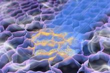 A graphic representation of the laser-induced graphene foam gas sensor during manufacturing