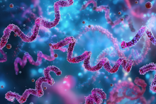 Treponema pallidum, represented in this illustration as purple corkscrews, is the bacterium that gives rise to syphilis