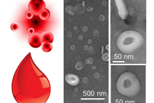 A multi-institutional team led by Dipanjan Pan recently received a five-year, $2.7 million grant to develop the next generation of synthetic blood