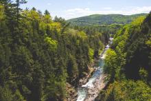 Streams, like this one, contain a lot of information that can help scientists and environmentalists.