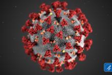 Coronavirus