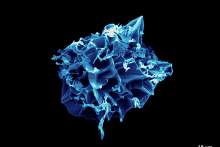 Materials Visualization Competition