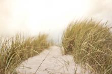 The Rock Ethics Institute and the Center for Climate Risk Management host a seminar series