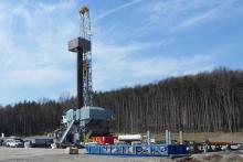 Marcellus shale