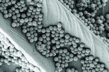 The 17th annual Materials Visualization Competition "Best of Show" award went to “Nano soccer balls from nature” by Jinsol Choi, postdoctoral scholar in mechanical engineering