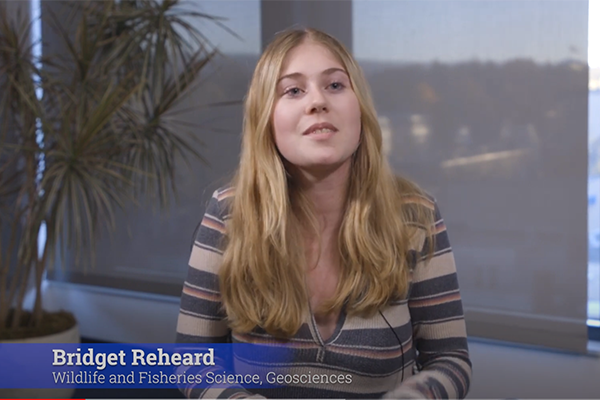 Bridget Reheard 